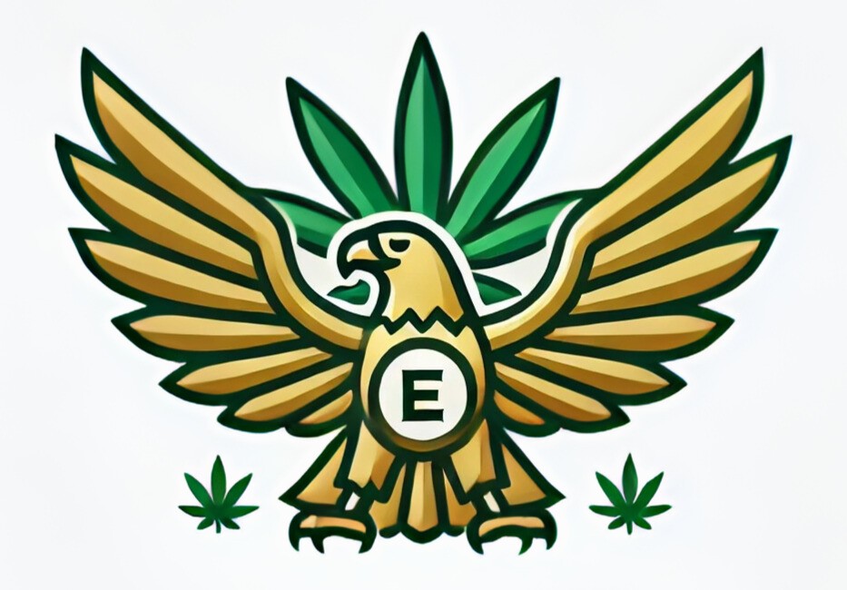 Zouhair FATNASSI