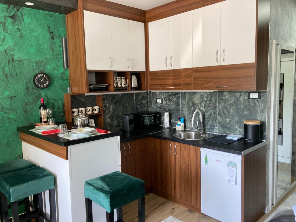 Slika kuhinje Apartmana Aleksandar 2 u Novoj Varosi.