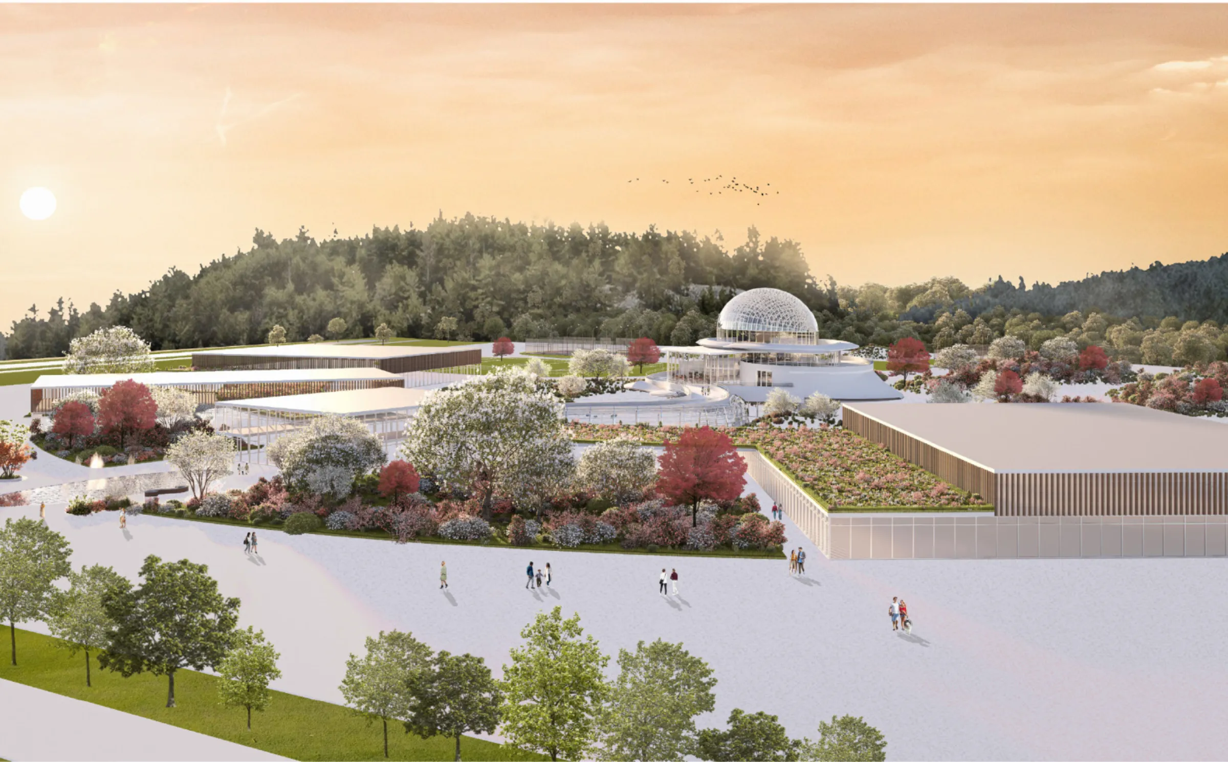 Proyecto de KSFO — galería