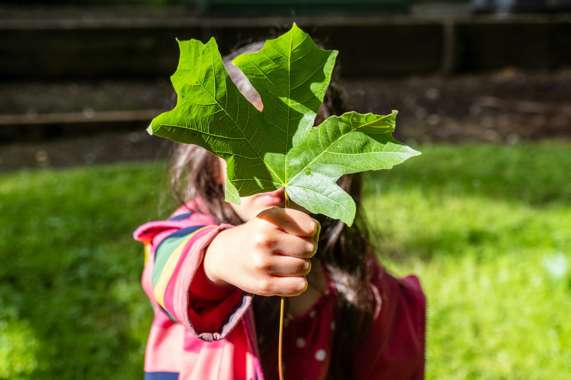 A girl holding a big leaf in front of her face