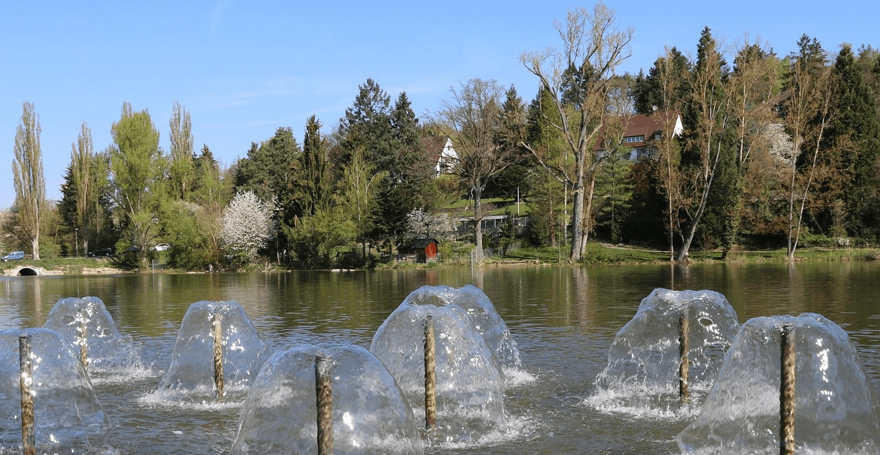 baumpflege Sindelfingen 