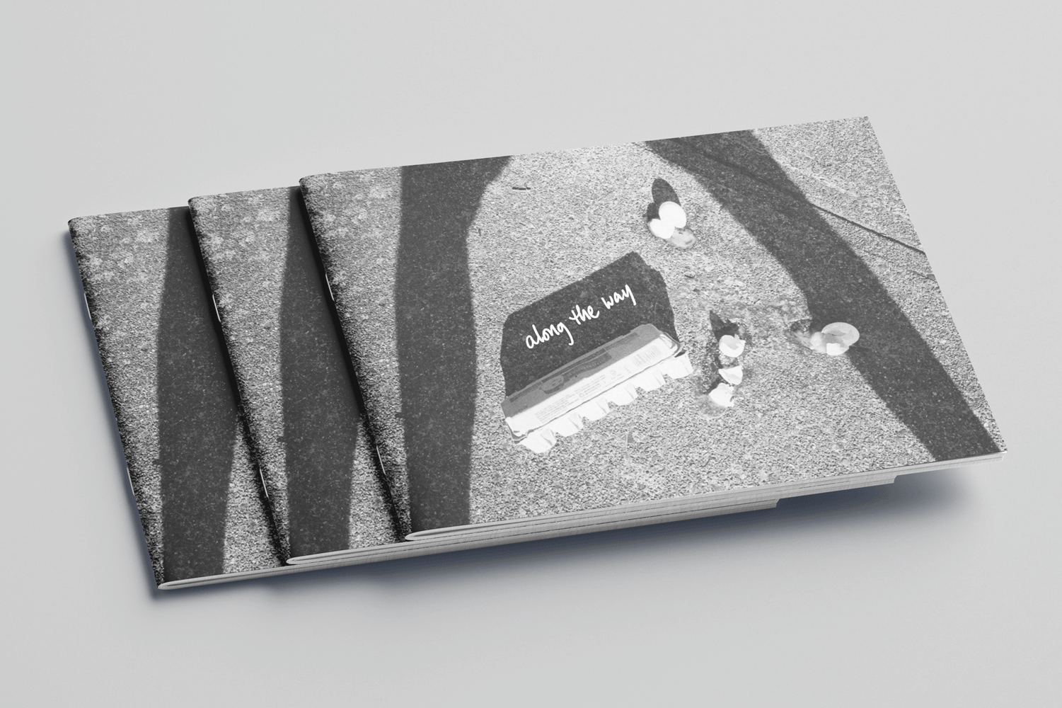 2 frame animation of a black and white strreet photography zine. Featuring the cover and the center spread. left page of the center is an image of a man wearing a suit of armour and the right page is a view from inside a bus looking outward at an inflatable dinosaur on the roof of a car dealership