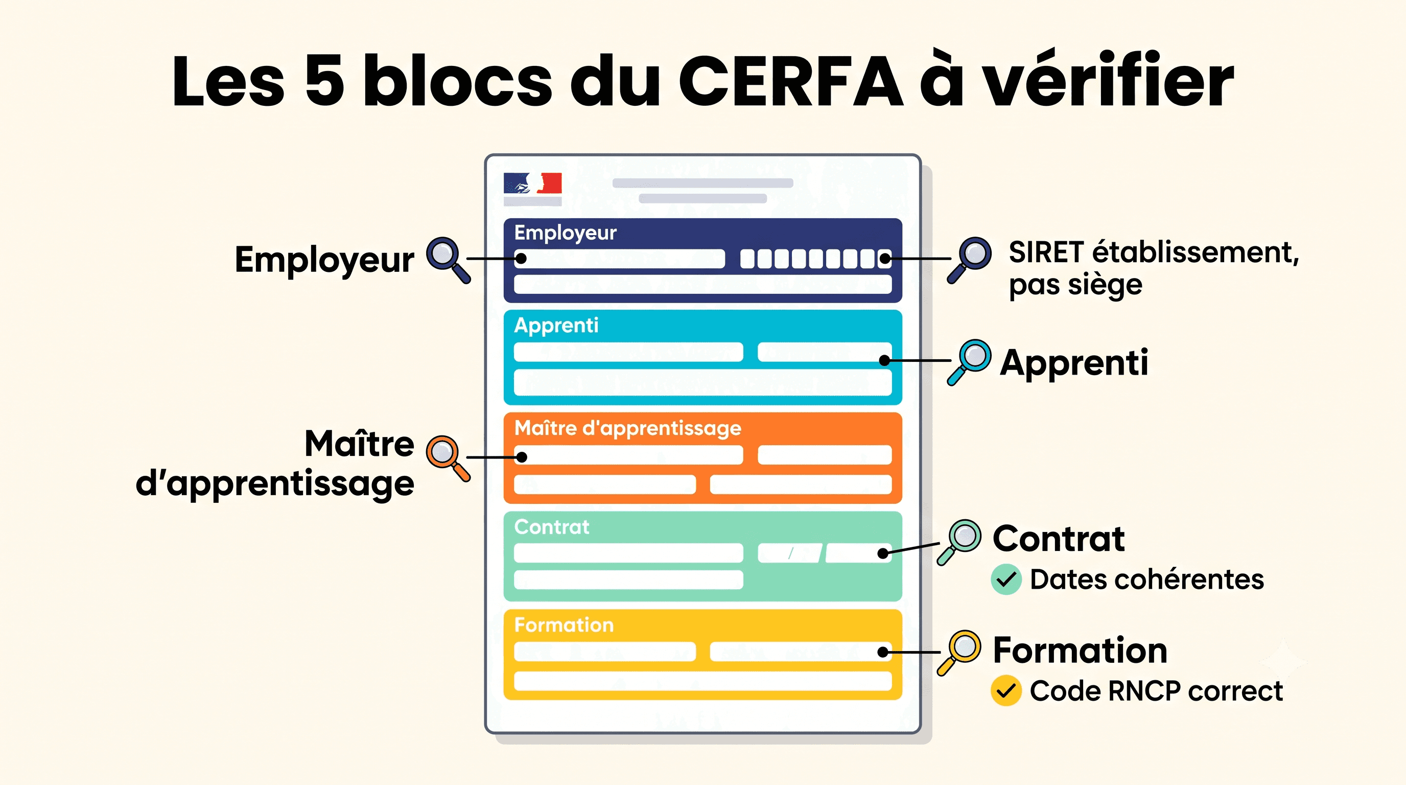 Infographie des 5 blocs du CERFA de contrat d'apprentissage à vérifier : employeur, apprenti, maître d'apprentissage, contrat et formation