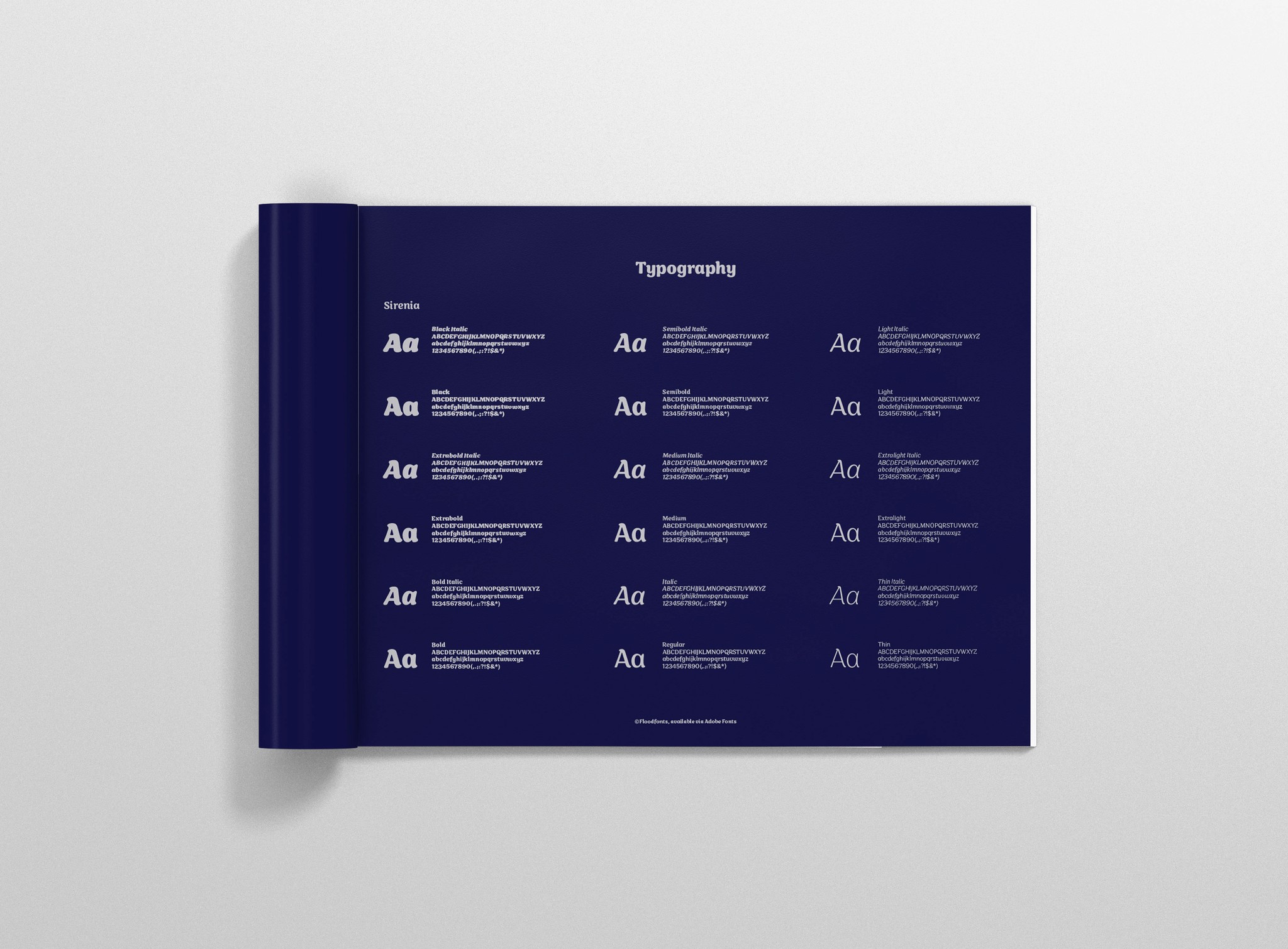TLC Training and Fitness brand guidelines typography