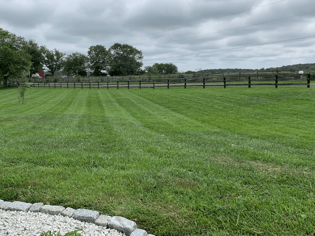 Freshly cut grass in Westminster, MD