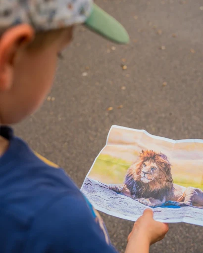 Sur la piste du lion