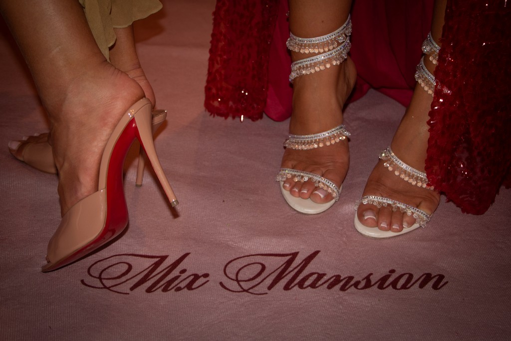 Heels on Mix Mansion logo