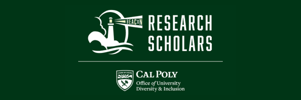 Premium UX Template for Framer