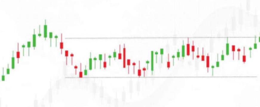 Close-up of lush, dark green leaves, some glossy and wet, against a muted background.