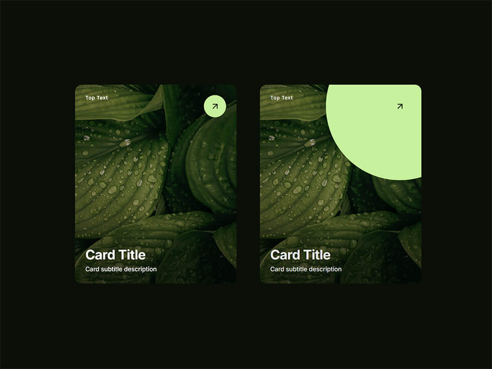 Capture d'écran du component Framer Orbit Carousel