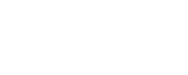 Logo Design Project for a Client