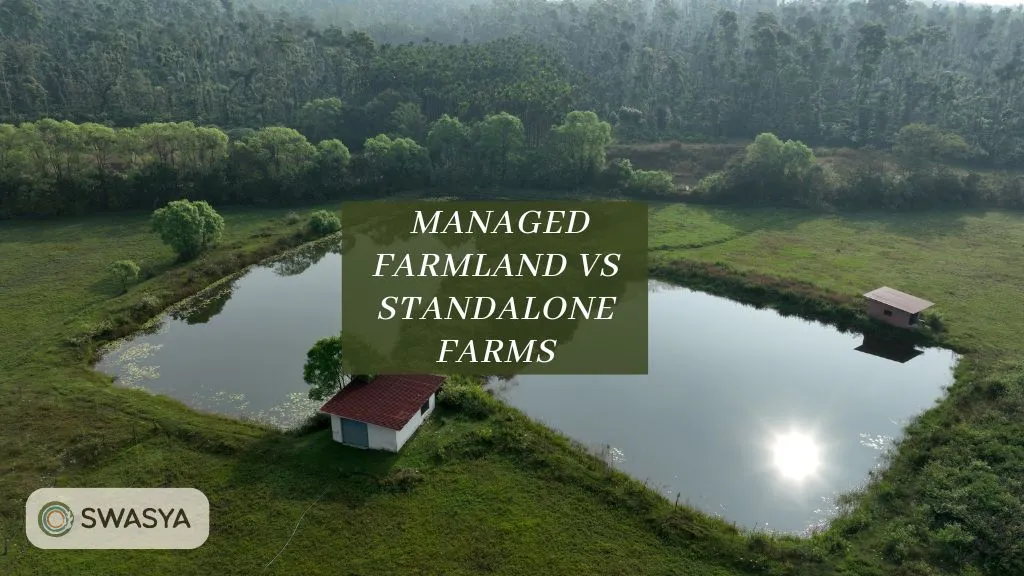 Buying Managed Farmland vs Standalone Farms
