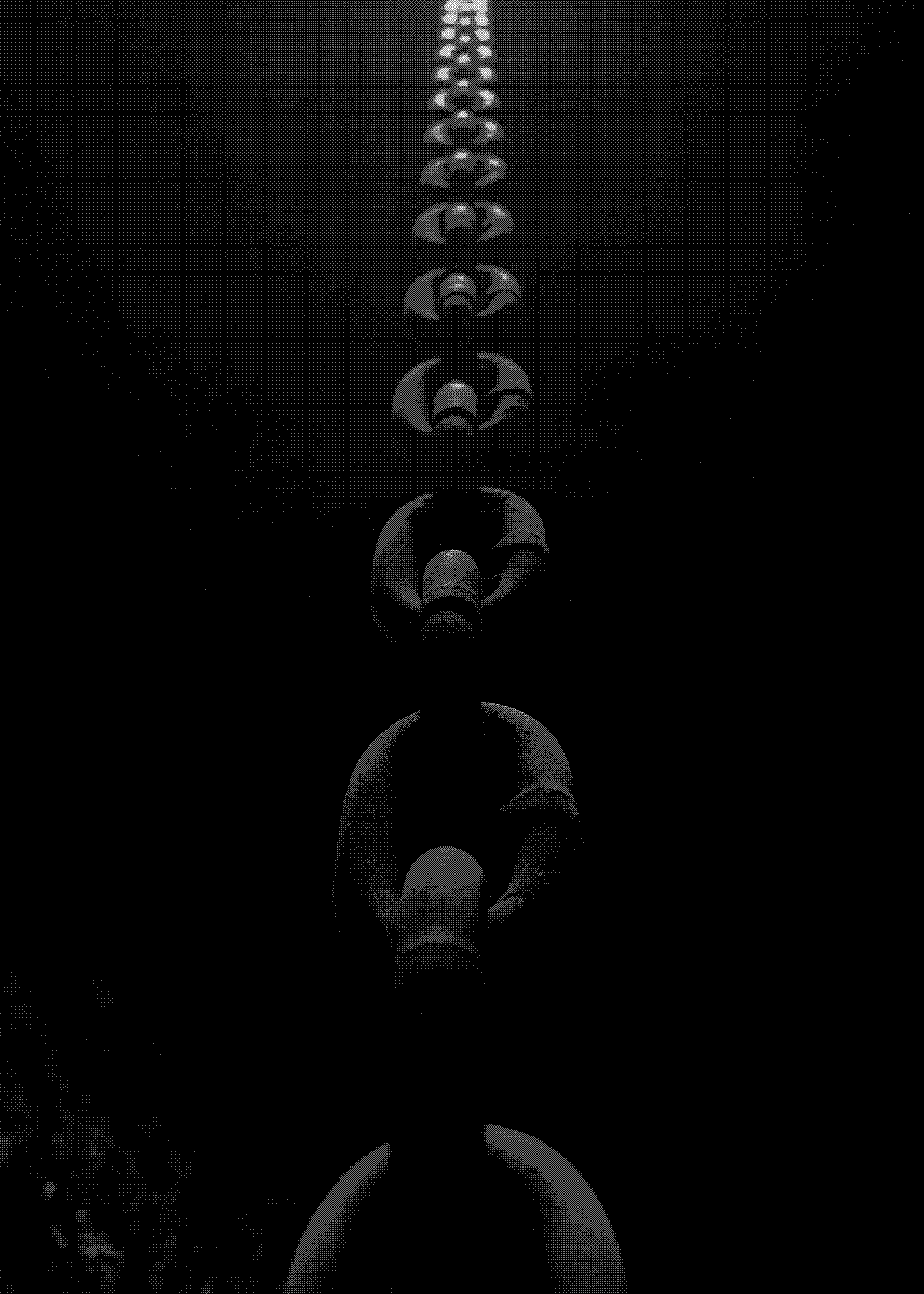 a long line of people in the dark