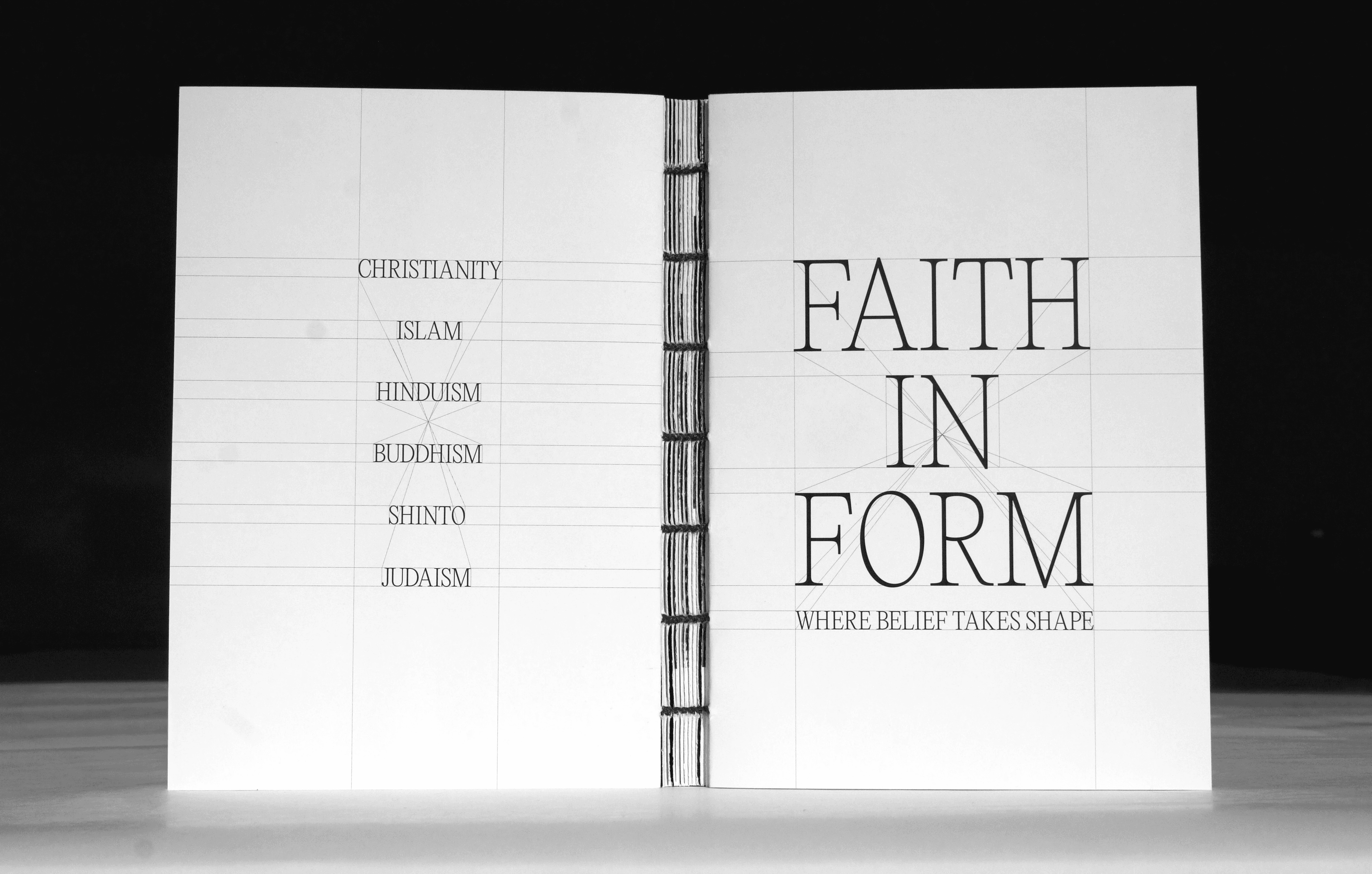 Person holding the Falsehoods & Fallacies book, showing the cover design.