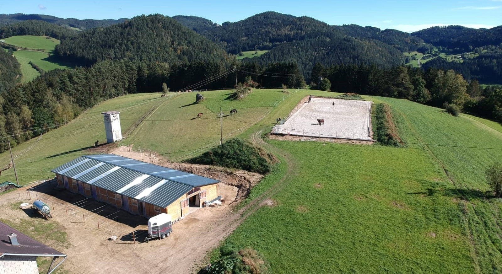 Close-up of lush, dark green leaves, some glossy and wet, against a muted background.