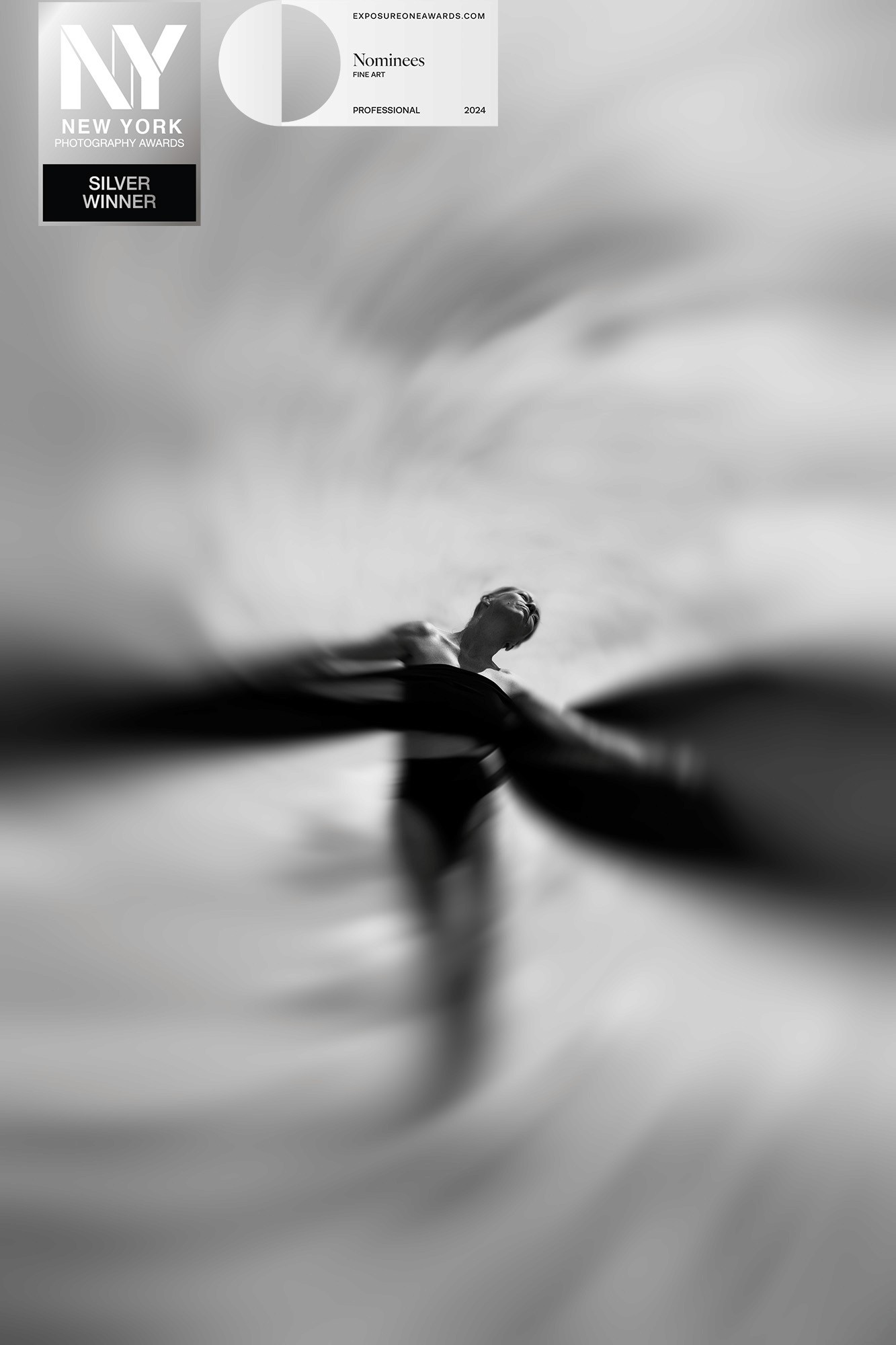 Agnieszka Czyzkowska fine art photography Warsaw wings feathers abstract black and white Aura