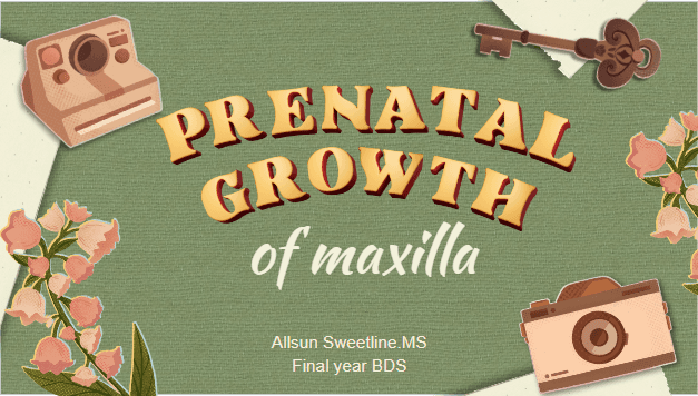 Prenatal growth of Maxilla image