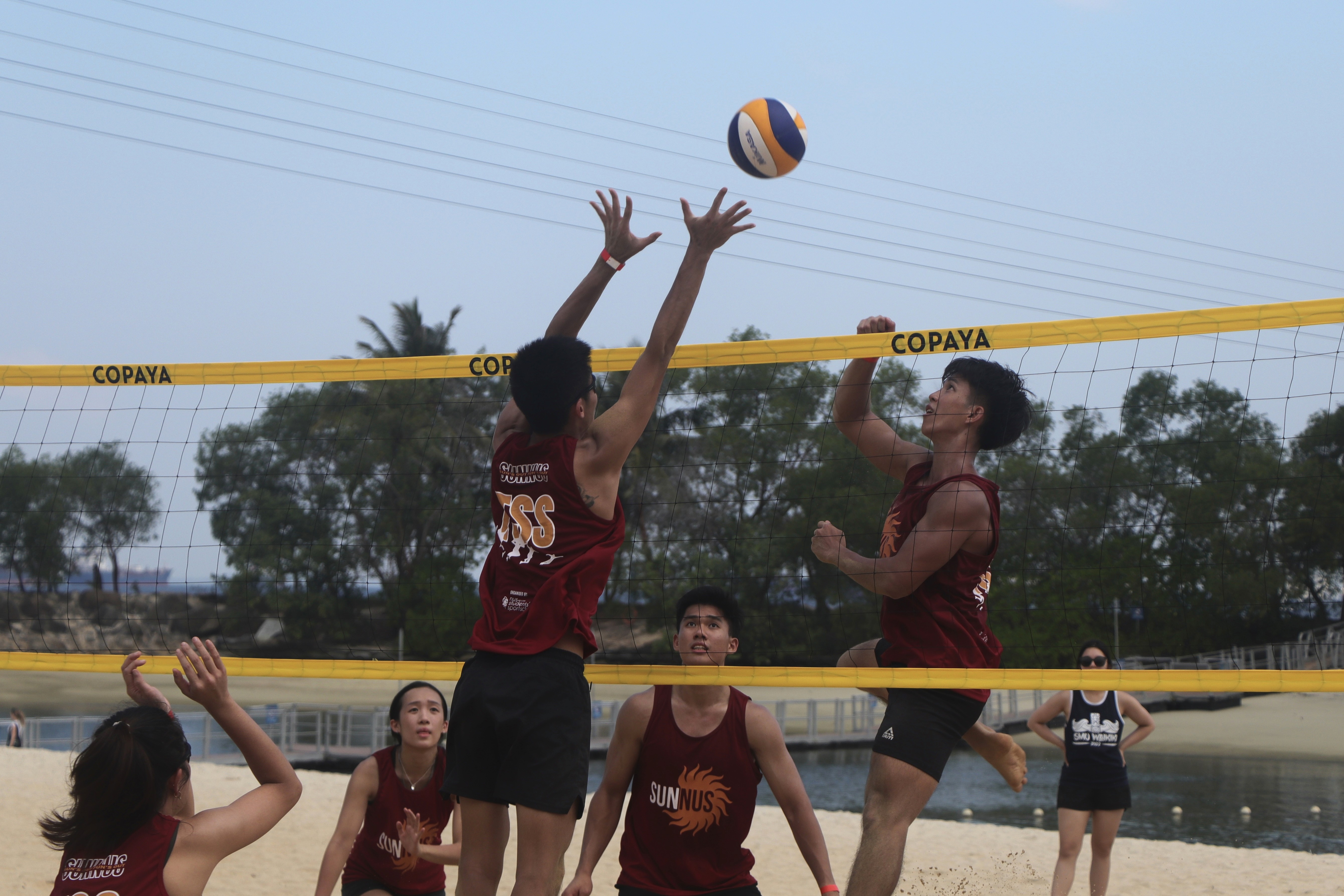 sunnus volleyball