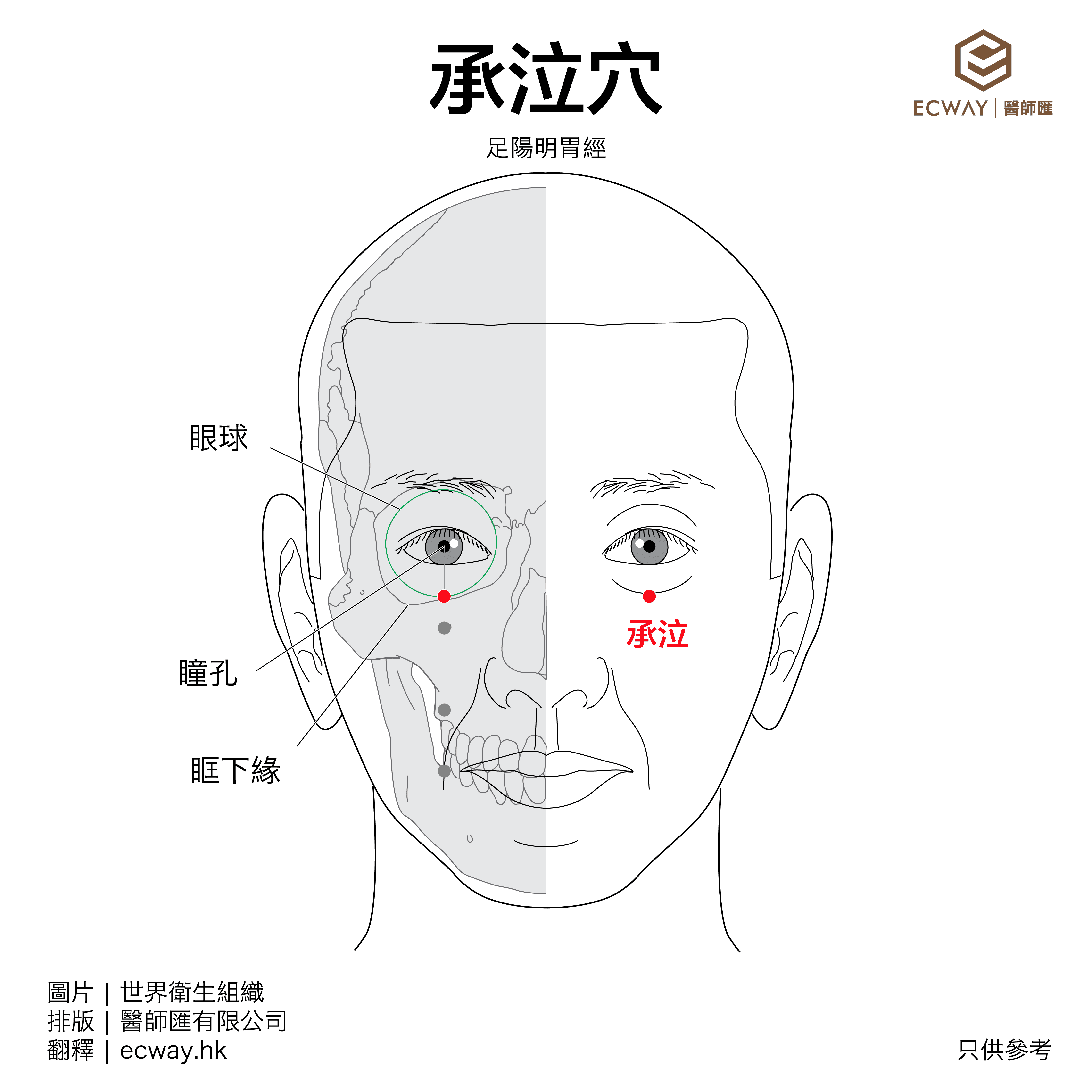 承泣穴
