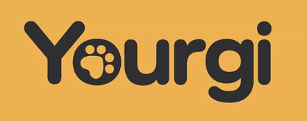 Yourgi logo.