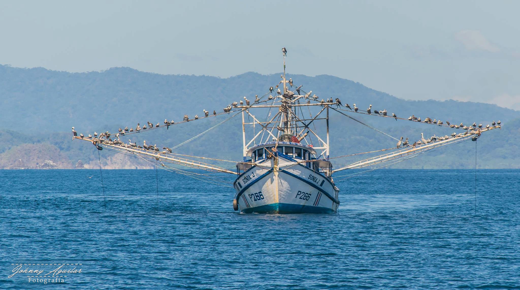 Coach explaining stuff to an athlete