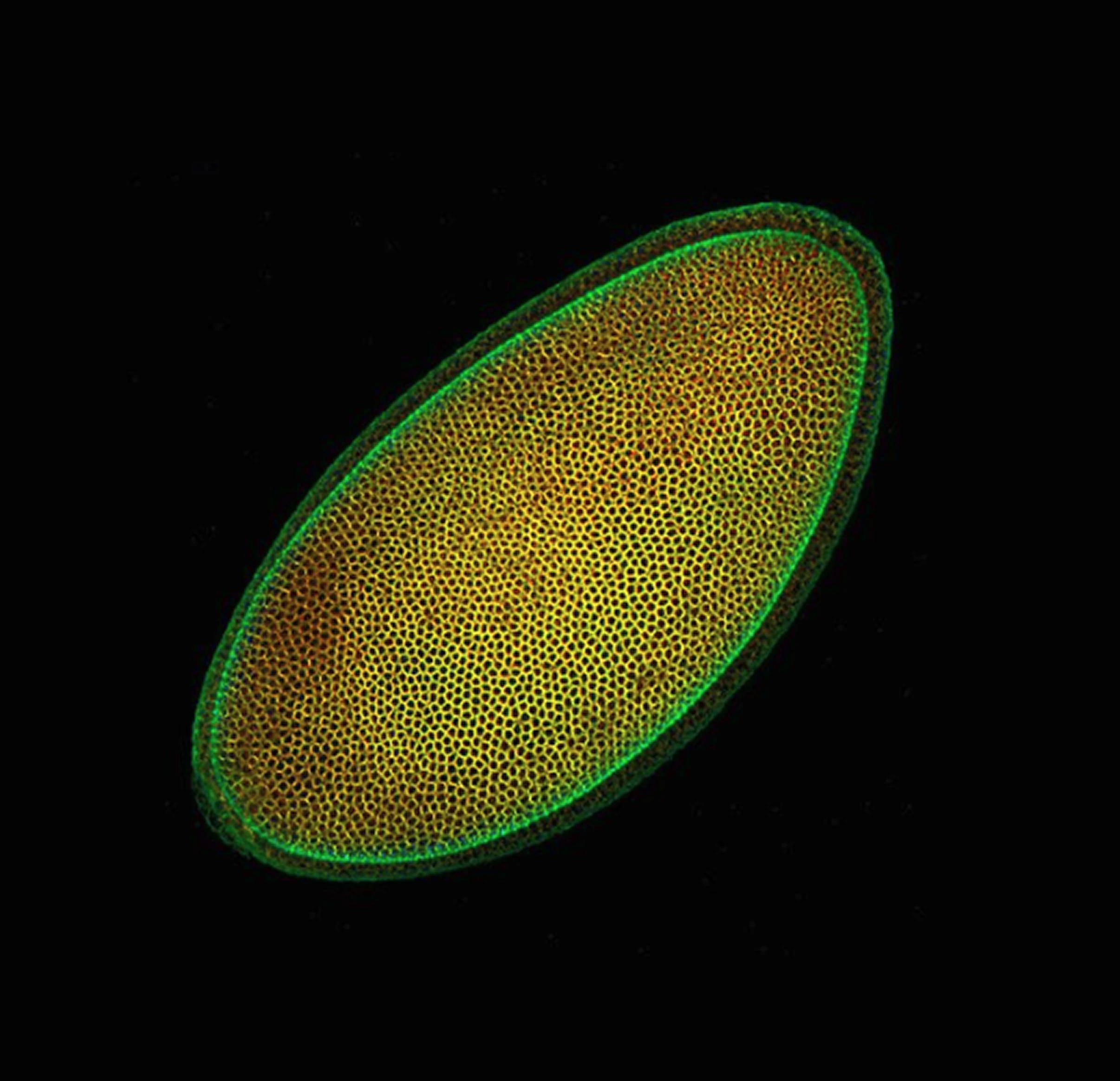 The image featured in the middle of the about us page