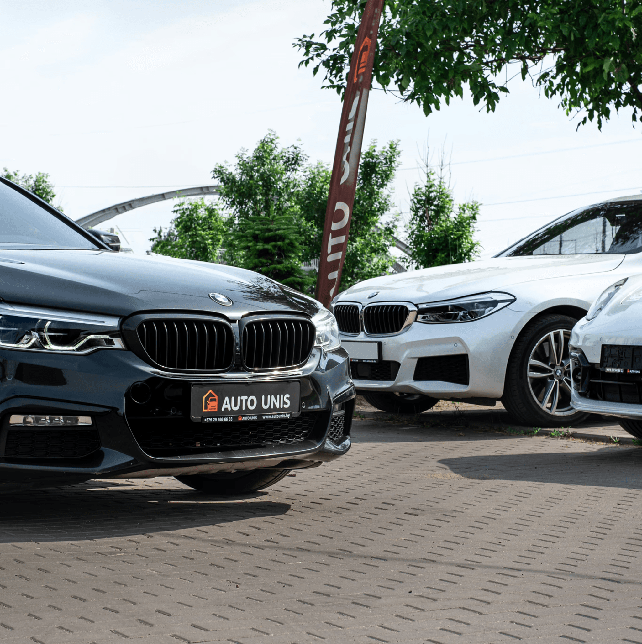 Auto BMW parcheggiate presso una concessionaria, con il frontale, i modelli e il marchio in mostra