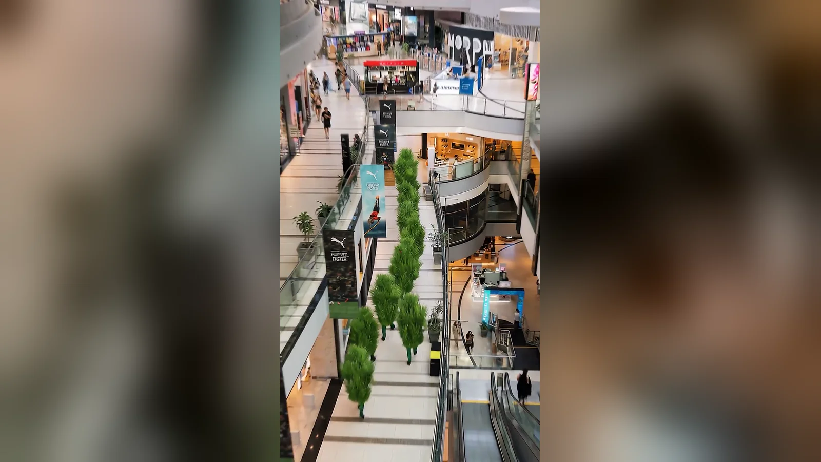 Grupo de personajes de pasto caminando en fila por un pasillo interior de Alto Palermo, en la pieza Arbolitos.