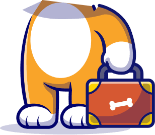 Cat Body