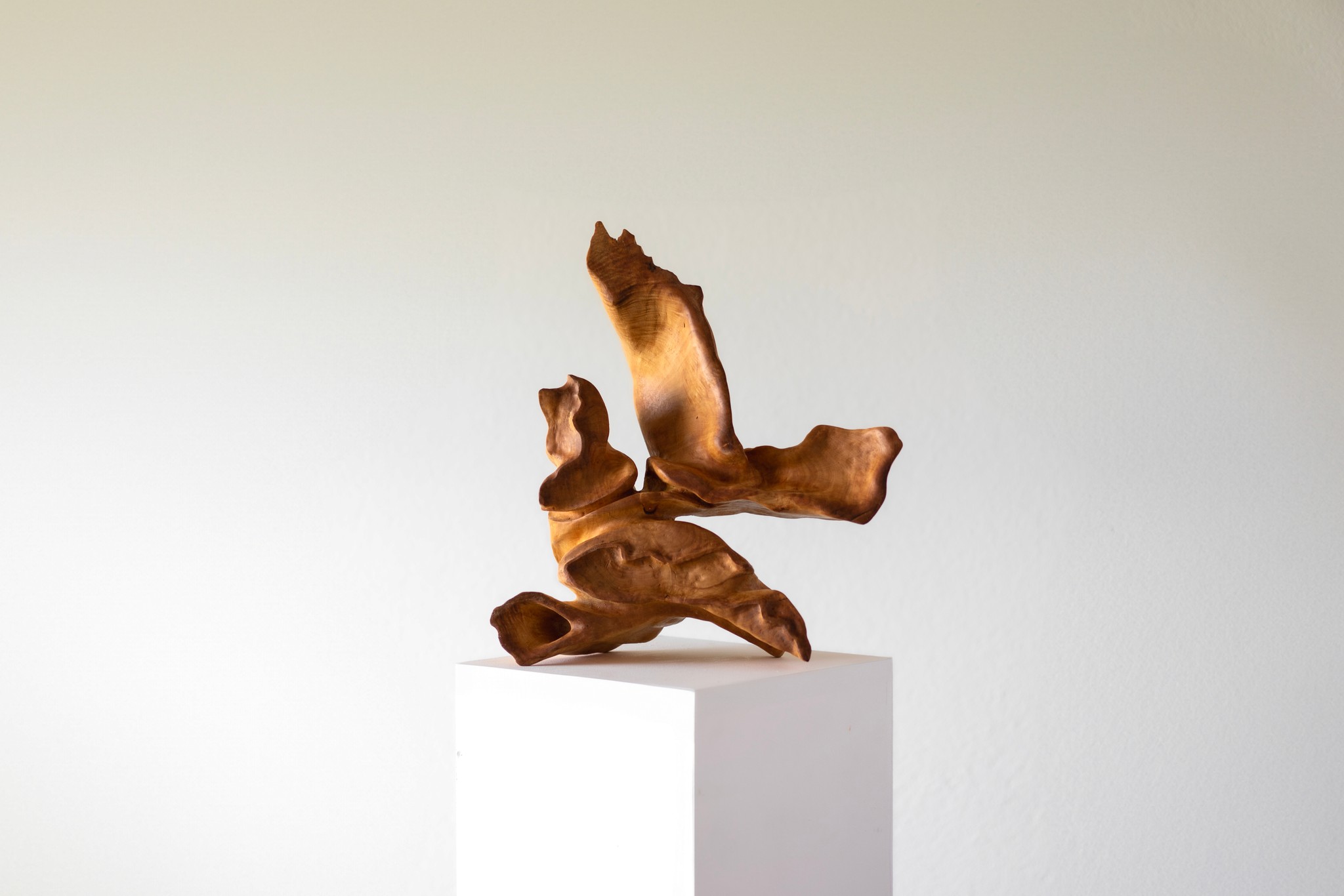 sculptuur van robinia hout op sokkel