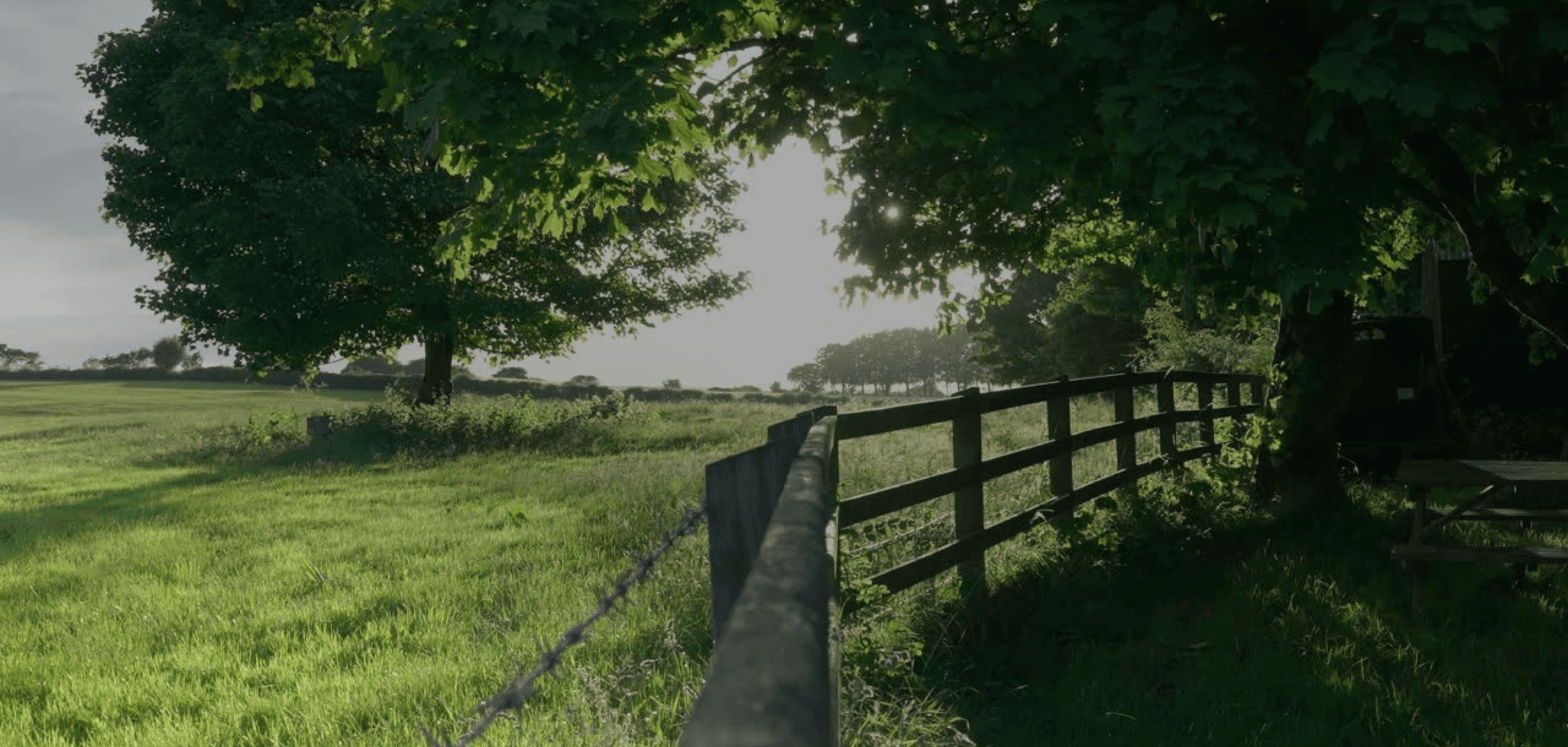 Peaceful countryside scene with a wooden fence running through a grassy field, surrounded by tall trees and soft sunlight filtering through the leaves.