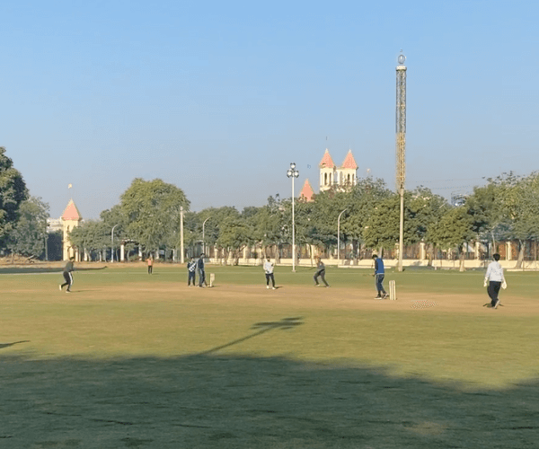 Sunlit modern living room with orange chair, plant.