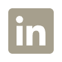 linkendin icon