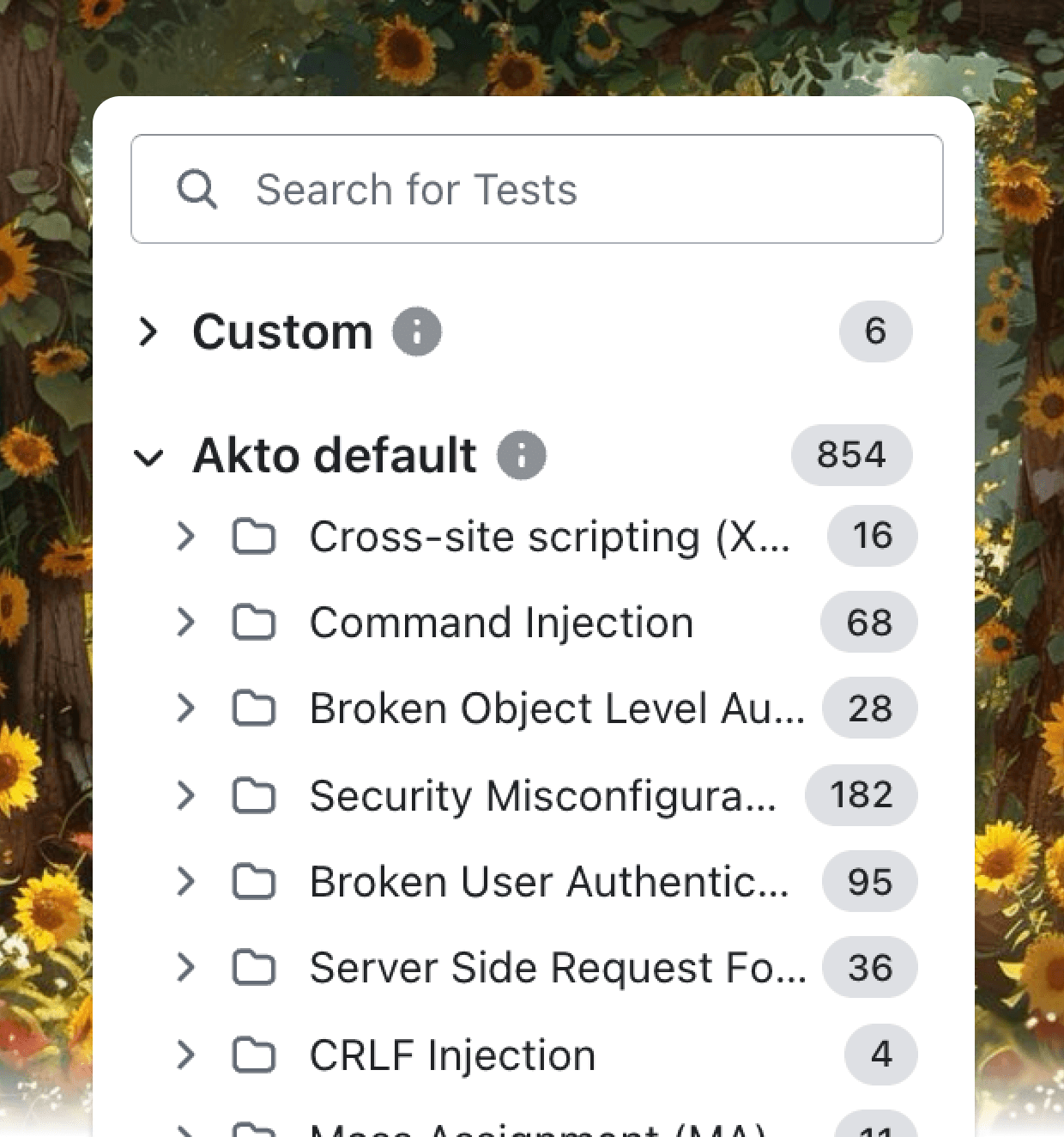 Akto API inventory