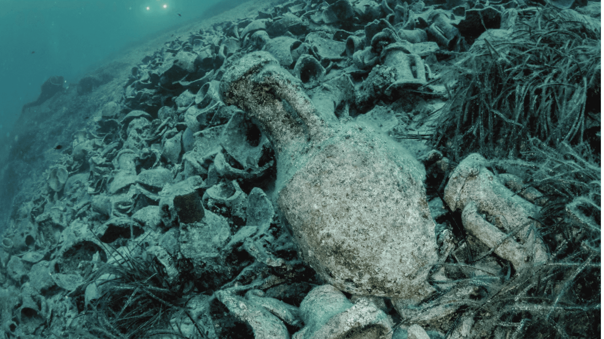 an underwater view of corals and sponges on the ocean floor