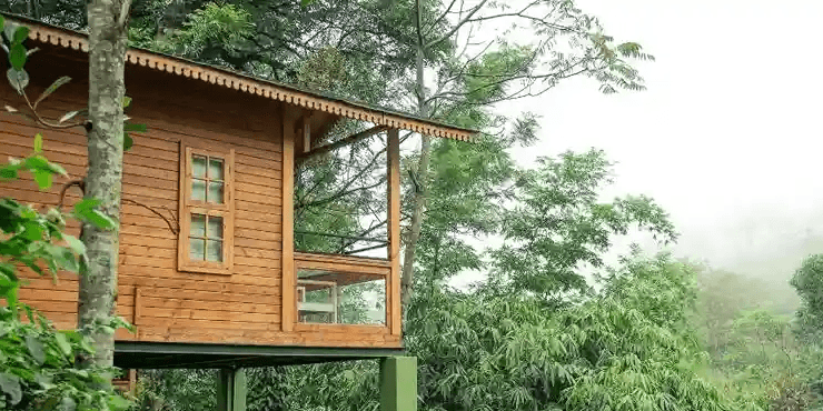 Monsoon in a Wooden Chalet - Why the Rain Makes It Even Better