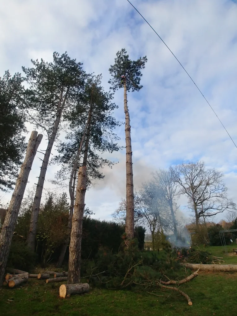Entretien d'espaces verts dans l'Aube