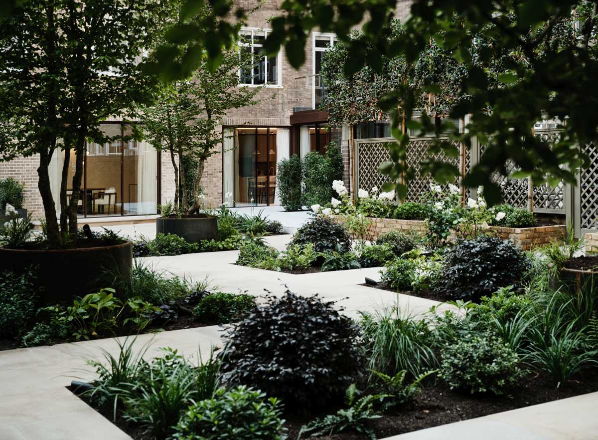 Contemporary garden design featuring lush foliage and stone paving
