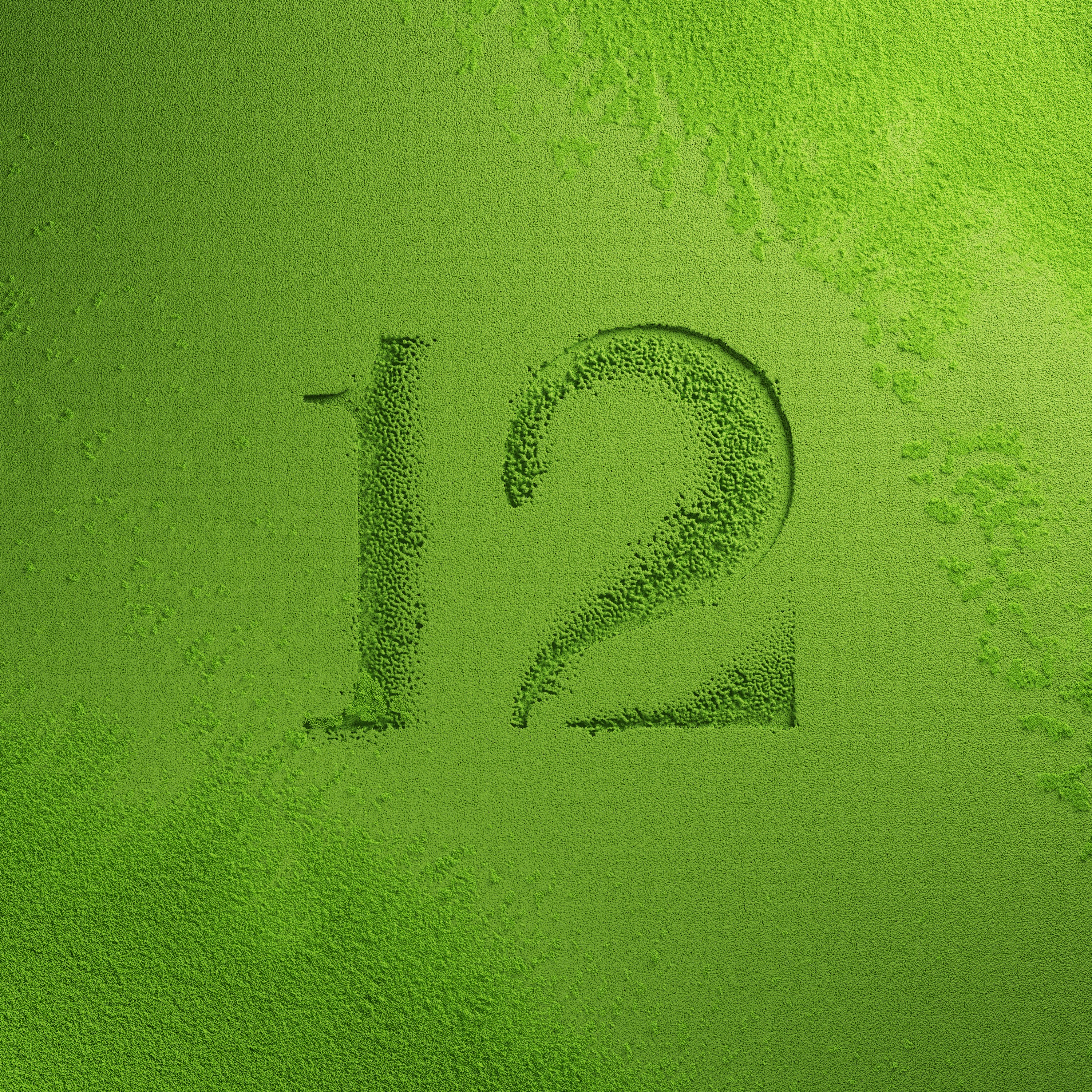 12 Matcha