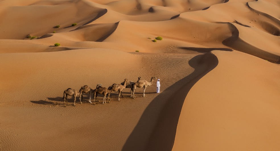 https://assets.anantara.com/image/upload/q_auto%2Cf_auto/media/minor/anantara/images/qasr-al-sarab-desert-resort-by-anantara/leisure/desert-activities/new-images-2020/qasr_al_sarab_desert_resort_by_anantara_recreation_activities_camel_riding_984x532.jpg