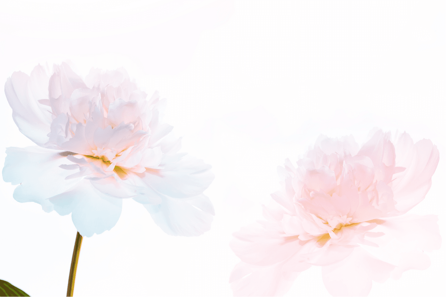 hair cutting at salon