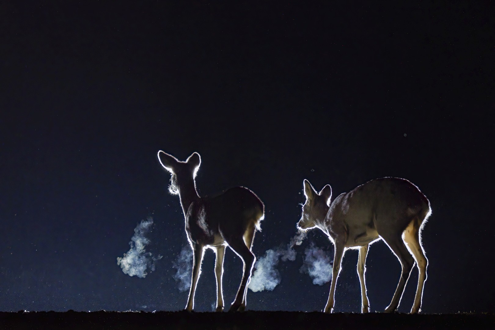 Le soufle de la nuit