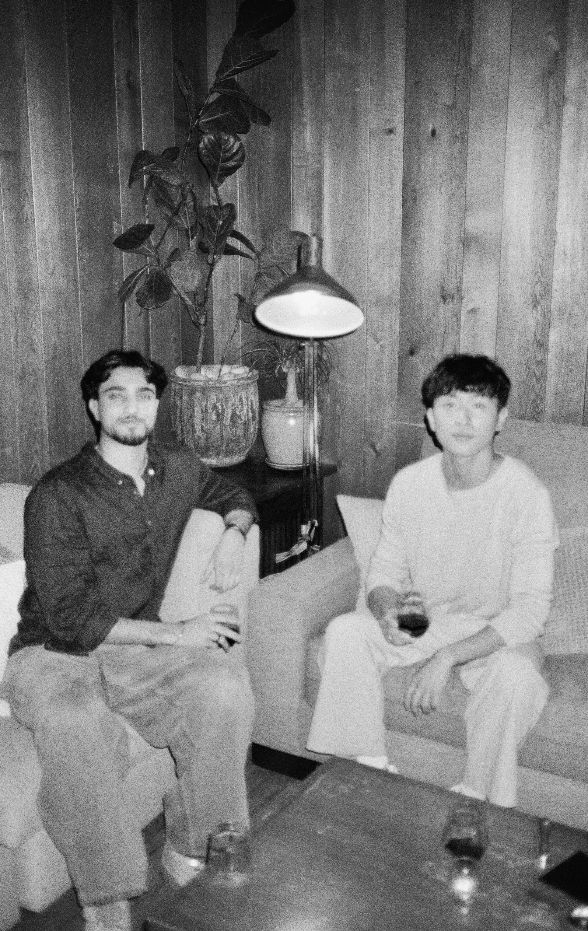 Dom Pérignon vineyards from the sky