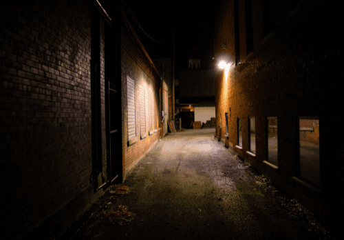 A group of people clean the beach