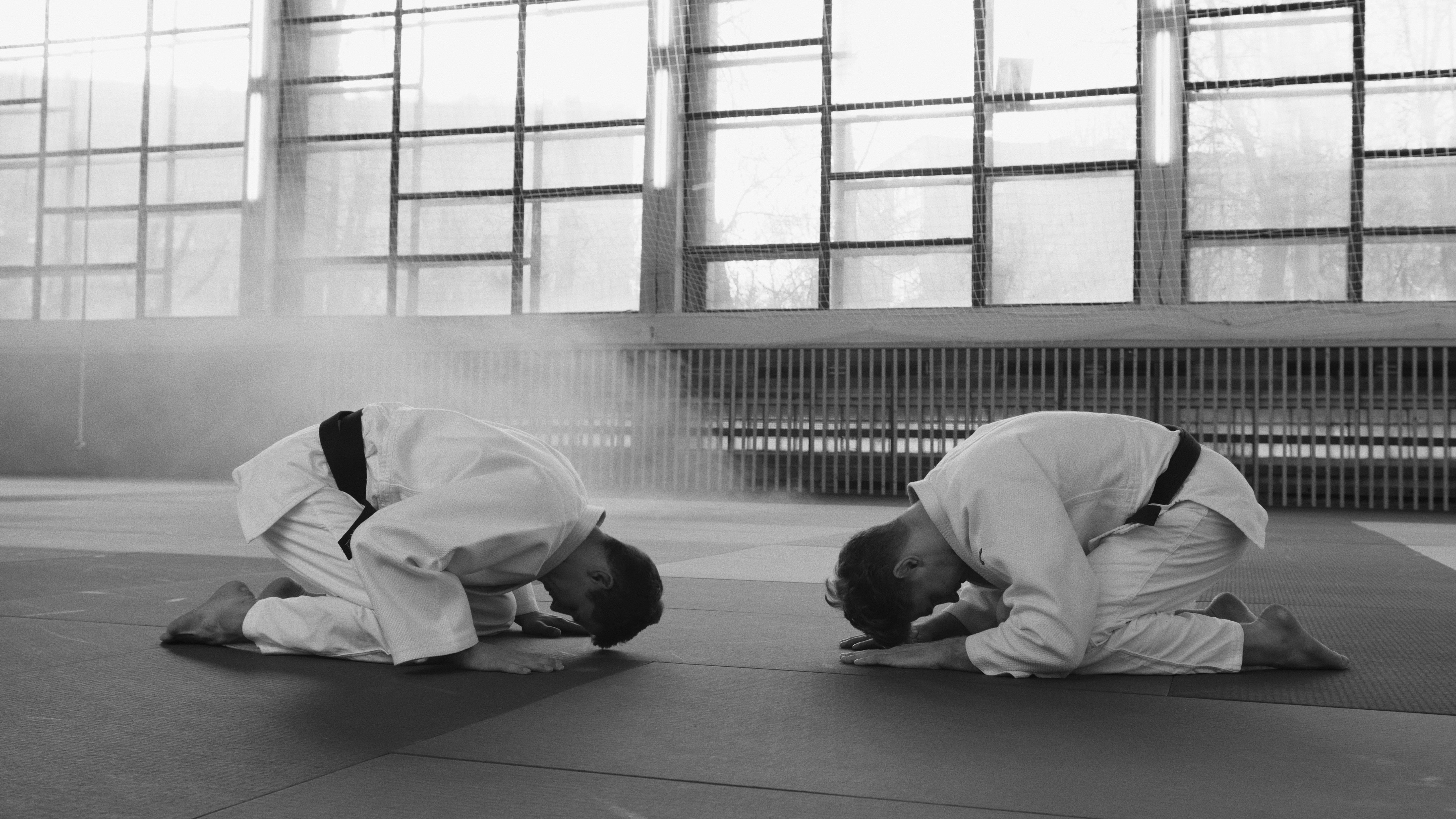 Judoka-Judo club decines