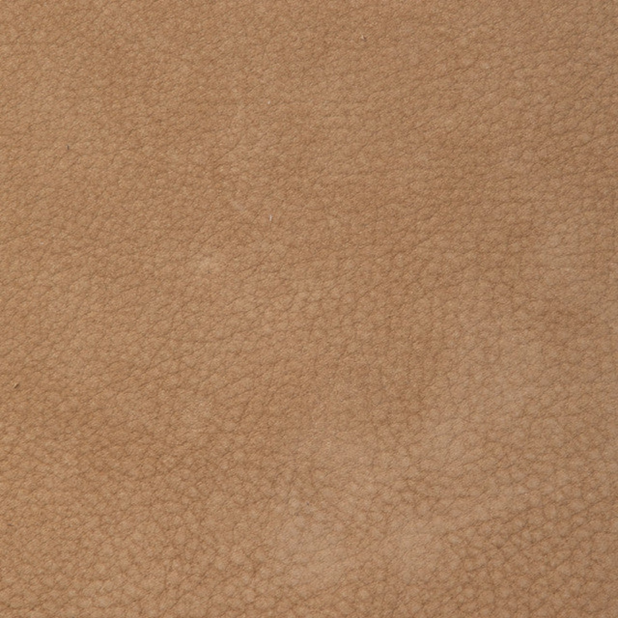 Aged leather background with a stitched border and brass studs