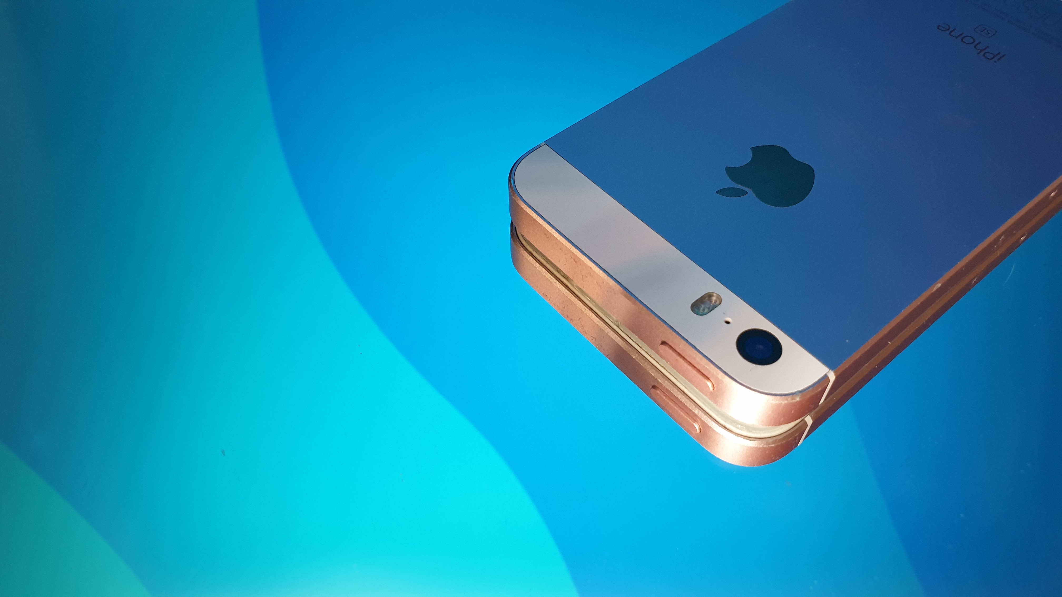 kids lying on a glass land and smiling