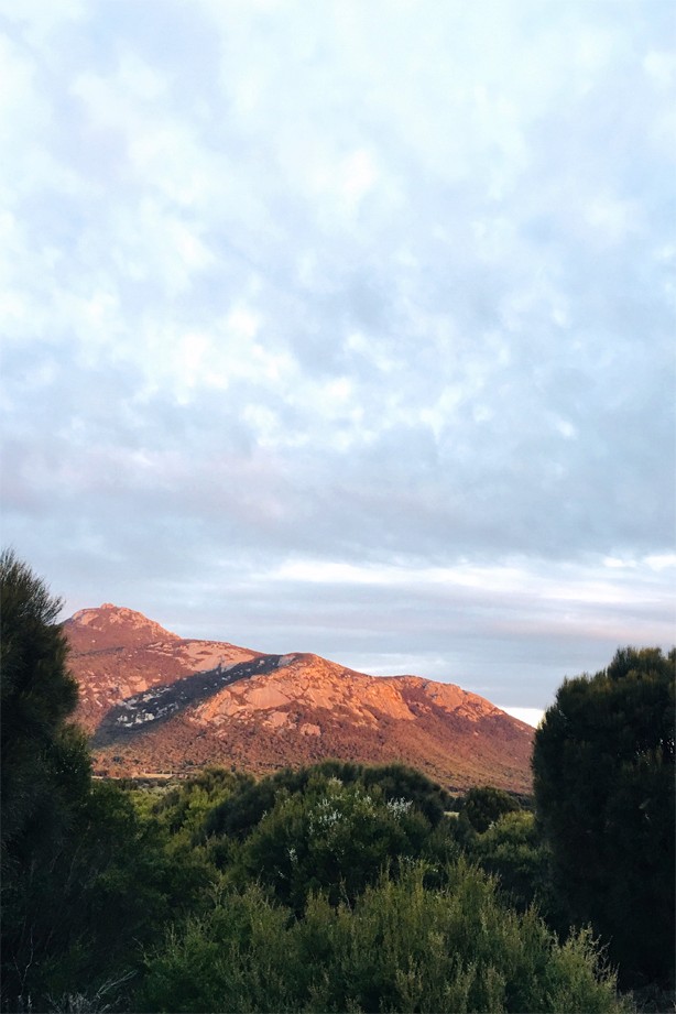 A mountain ridge catching the last light above coastal scrub