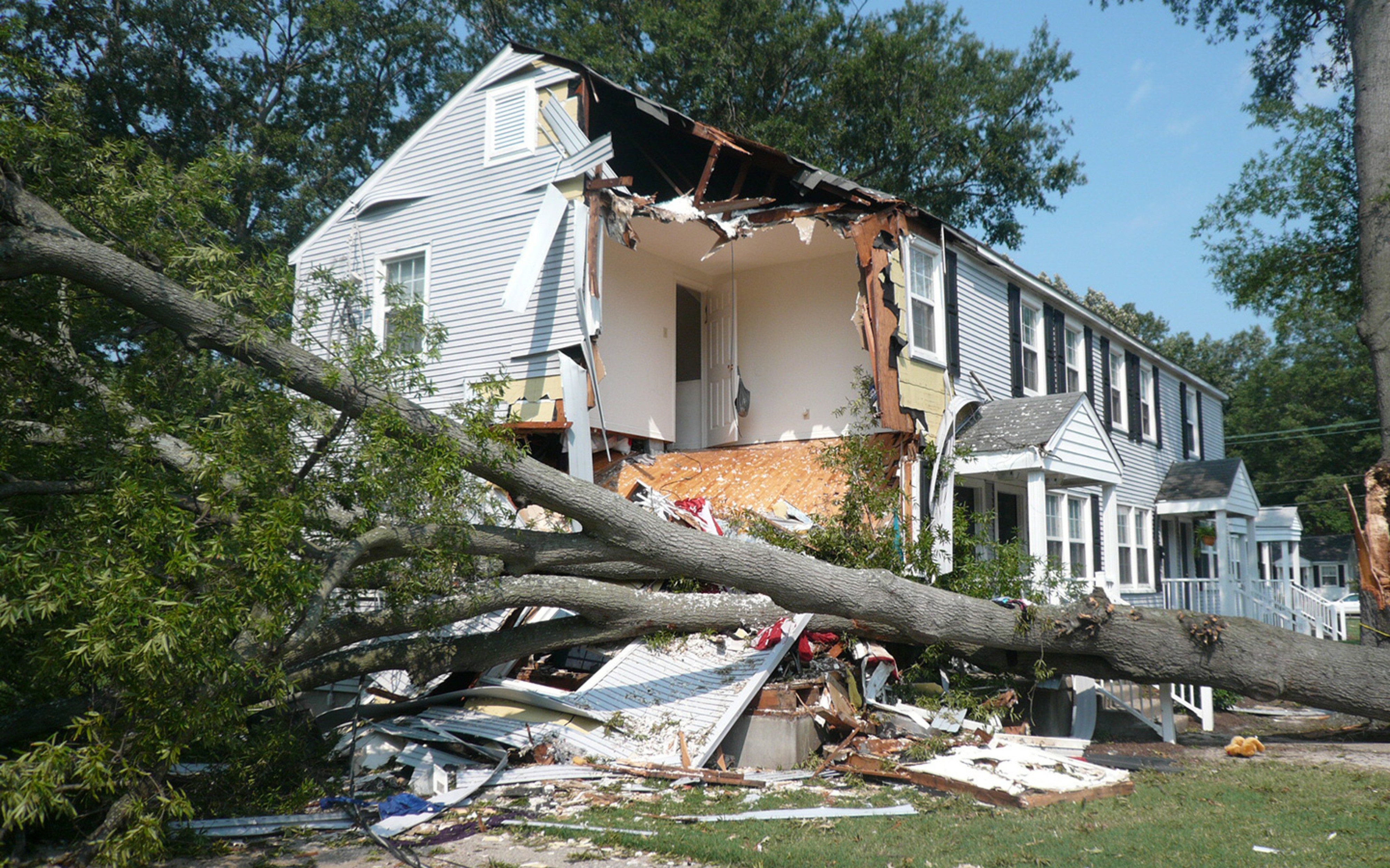 Wind / Storm Damage