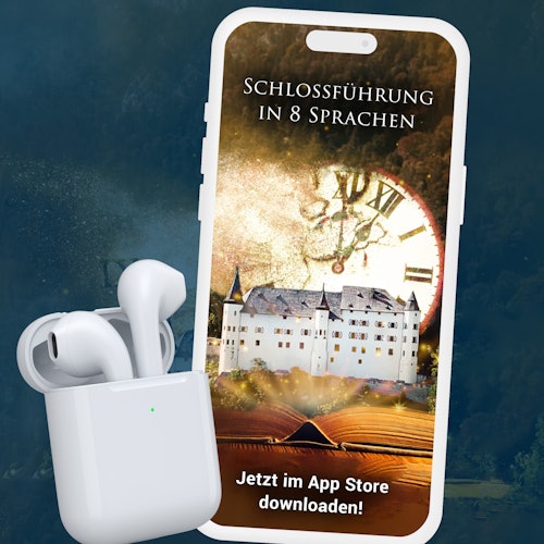 Single ticket - Tratzberg Castle